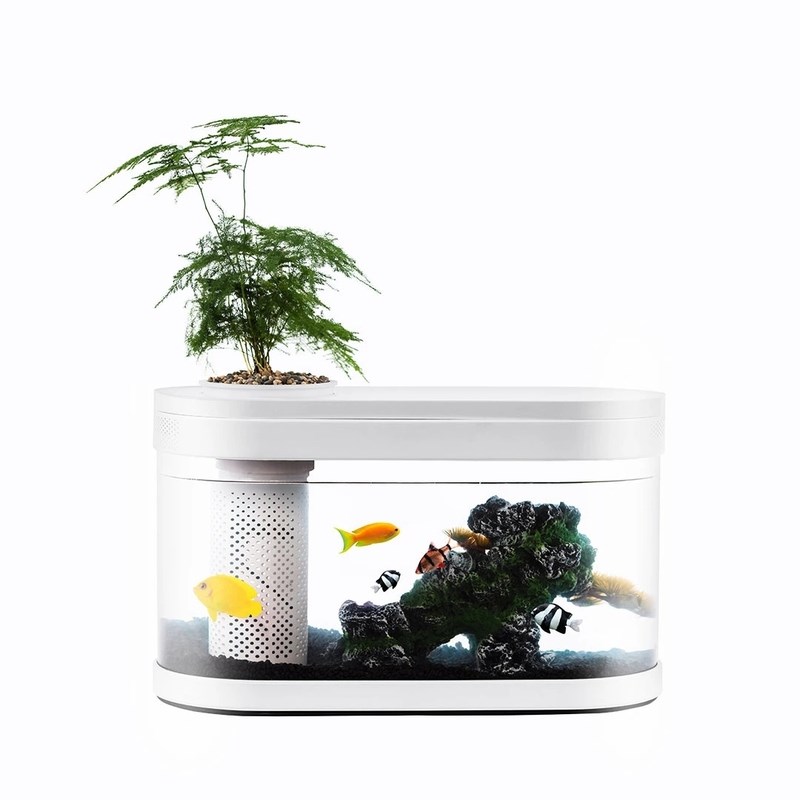 人见人爱的小米懒人鱼缸一出，不吹，一眼就被迷住了，人人买得起