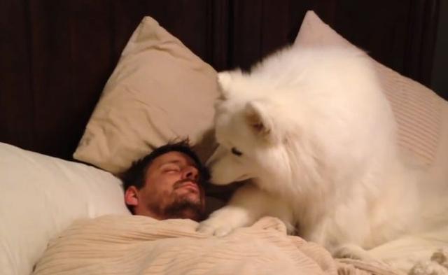 养狗会有5个“后遗症”，养狗越久会越严重，有狗的人都逃不掉