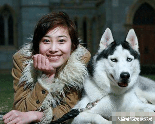 都建议女孩养宠物时首选德牧，到底为啥？真相让人羞愧！