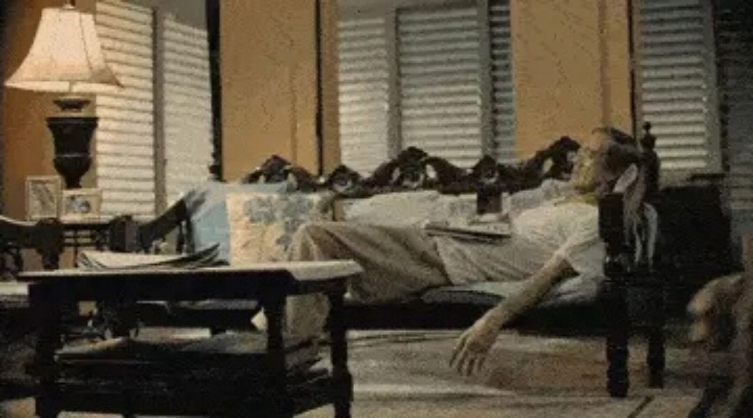 国外空巢收留流浪狗引发的深思