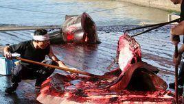 秦始皇的古墓中, 真的有长明灯, 它的工作原理大解密!