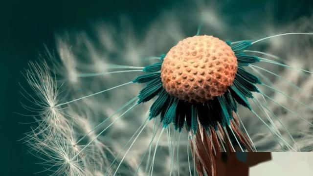 当你抱怨没有机会的时候，请看看这个故事