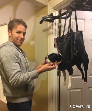 机智主人发明新式剪指甲神器，狗狗生无可恋，但没有任何反抗余地