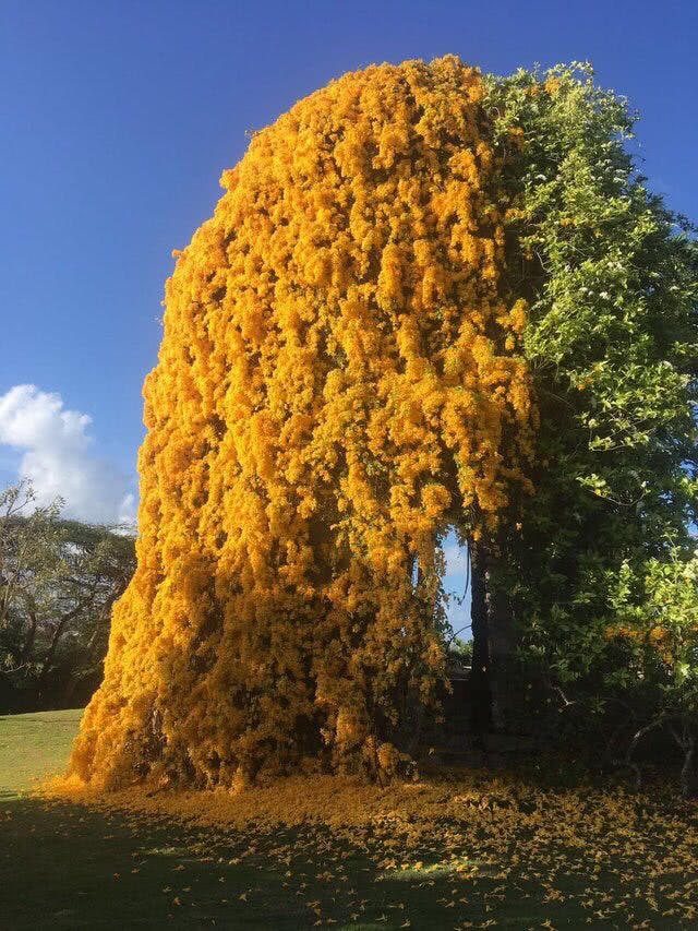 一张照片中的不同世界, 每一张都有戏剧性反差!