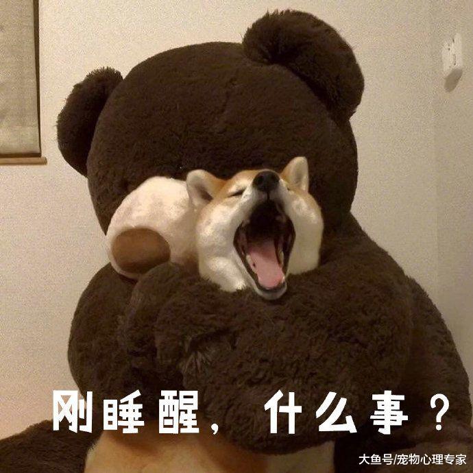 男子发现车轮下压了只猫，蹲下一看扭头就走：没受过这委屈