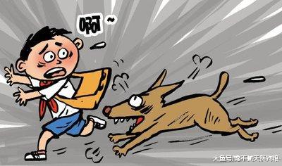作为被狗咬过3次的人告诉你，珍爱生命，这4种狗千万不能再养