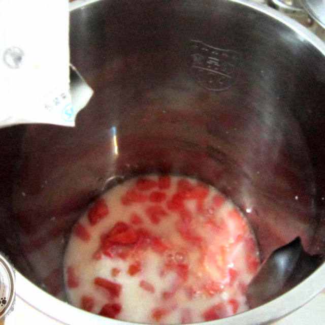 木瓜牛奶，润燥补水皮肤好，做法很简单！