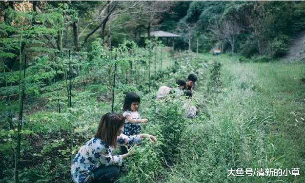 丈夫出轨，妻子得知真相后，和小三做出了同样的选择