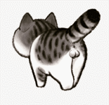 辟谣：你还在认为“喵喵”叫是猫咪的语言吗？ 喵喵叫？眼神交流？都不是猫咪之间的语言哦！