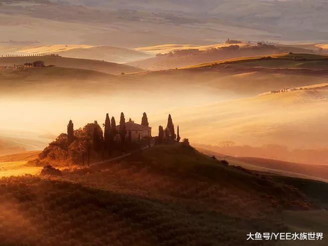 為了活著自毀雙眼的怪魚，看著磕磣但讓人心疼