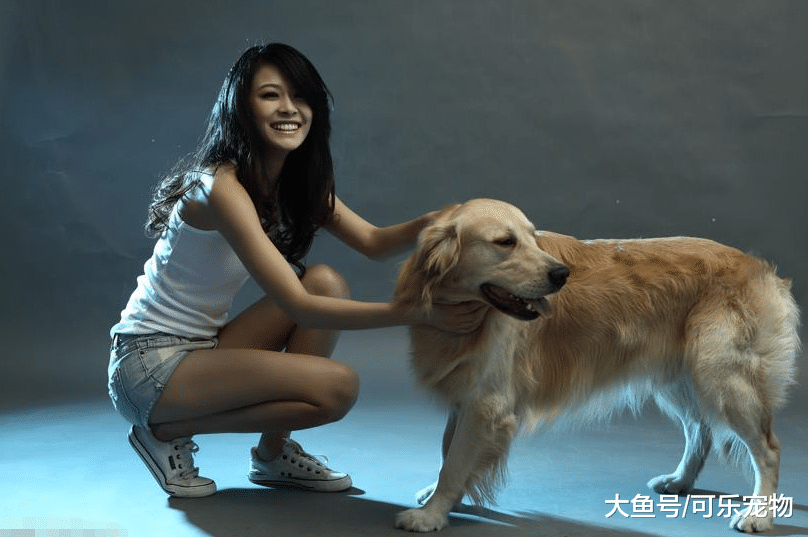 本是餐馆的“肉狗”，却被摄影师及时救下，还进入时尚圈拍了广告