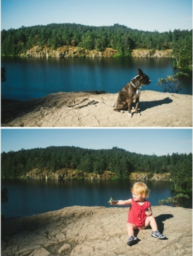 ‘萌娃与狗’傻傻分不清楚，国外玩出新花样萌娃与狗自拍，真的佩服这家主人，这是实力坑娃啊 ，哈哈！