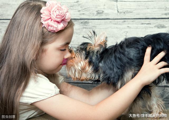 狗狗爱主人不用说，这些举动，足以说明它是爱你的