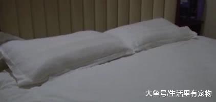 40歲女子愛上小鮮肉，共度一夜以后，女子發現事情沒那么簡單