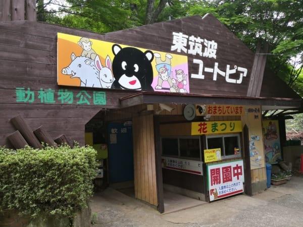 日本私人公益动物园，为庆贺新年吸引游客，将小野猪训练成为偶像