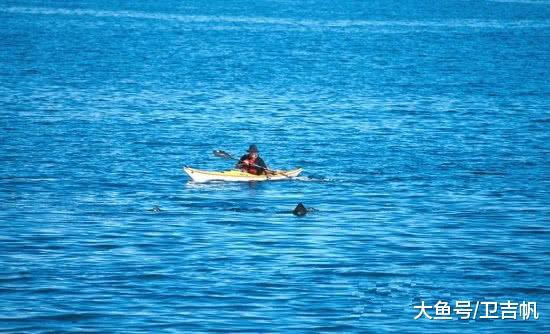 海里那些令人不寒而栗的生物，甚至被人们称为深海中的梦魇！