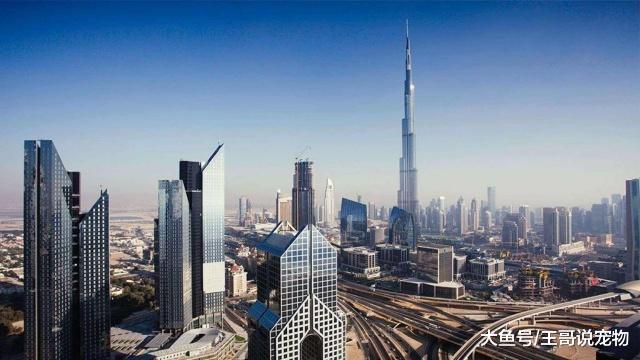 迪拜到底有多富有？贫穷限制了我们的想象力