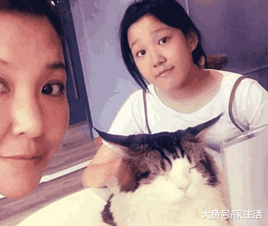 李静晒出自己住的房子，家里装修朴实无华，连女儿也是睡双层床