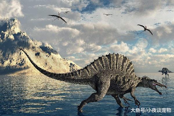 棘龍怕什么恐龍，棘龍能打敗霸王龍嗎？