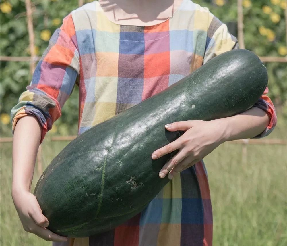 一家三口，住6000平米的房，这也许就是“美好生活”应该有的样子！