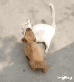 很真实了，和逛街的我一模一样，老公你在干什么！