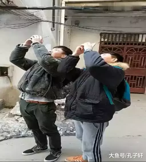 3只二哈狗头飘在天空路人纷纷好奇, 二哈们: 快逗楼下的傻子们玩