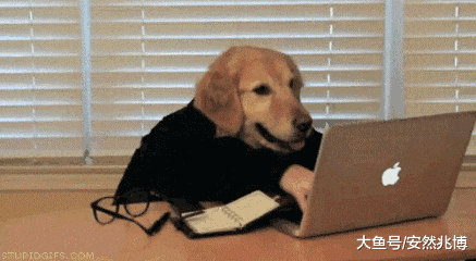 知道为啥被叫单身狗不？给你的情人节一万点暴击