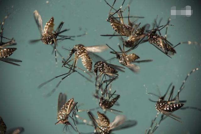 买过顶楼的才知道这些，我是哭着看完的！真后悔！