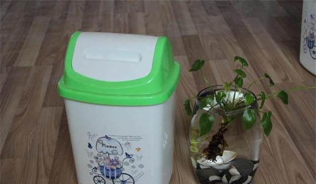 家里垃圾桶万万别放在这几个地方，摆错会变穷，很多人还不知道