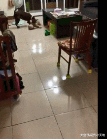 妈催睡觉，乖宝宝汪飞奔收玩具，快到篮子180度大转弯
