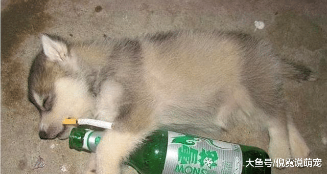 杜月笙：不抽烟不喝酒的男人才最可怕！此话何解？