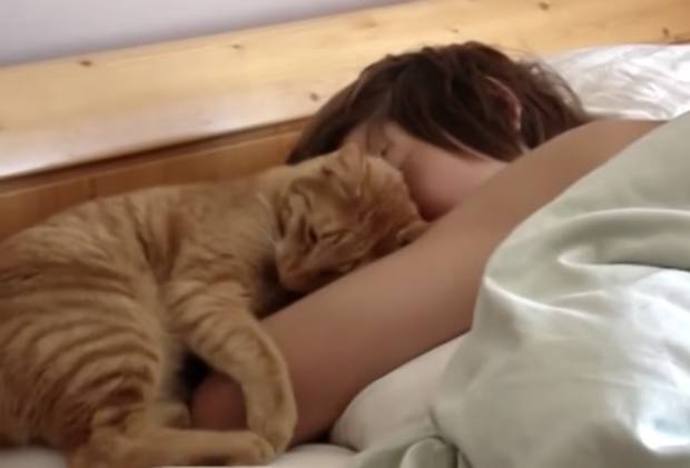 猫咪看到小主人还没起床，跳上去做出这动作叫醒主人，让人好暖心