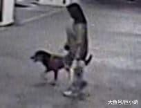 总能被一些狗主气死！主人见自己的狗咬死狗，马上带狗就跑
