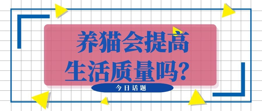 小猫咪行为怪异，铲屎官仔细观察以后，发现是该让它成家了