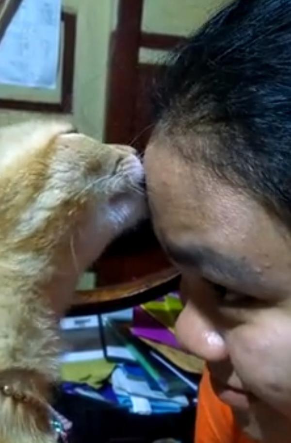 少女称猫咪舔脸3个月治好痘痘，男子依法操作，结果发烧死亡