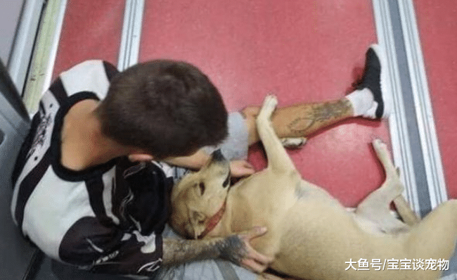 流浪汉路边摆摊遭赶，爱犬狂吠被警察击毙，死前仍不断向主人摇尾