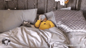 主人告诉二哈要照顾“弟弟”，结果它态度就变了，好懂事啊