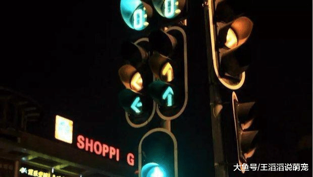 误闯了红灯不要倒退！交警教你一招，照着做，不扣分也不会罚款