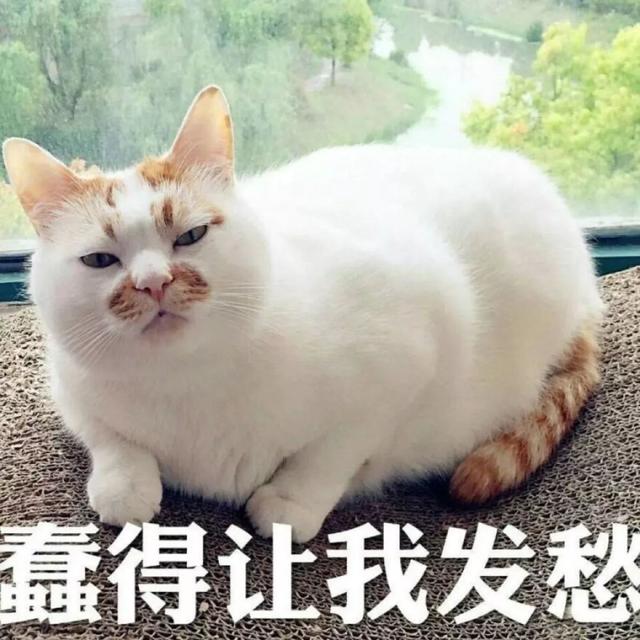 又双是小佩，卖699的猫狗自动喂食器过热电池融化漏出黑水