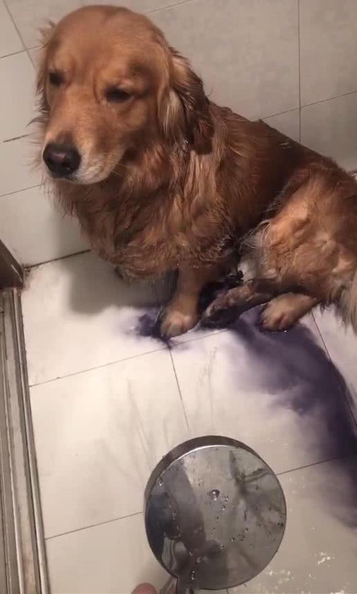 女子下樓倒垃圾，回家后看到眼前的畫面，默默走進廚房找菜刀