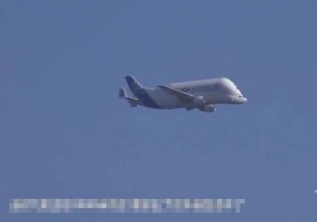 奇闻：荷兰一乘客因放屁导致飞机迫降！网友：本世纪超级屁！