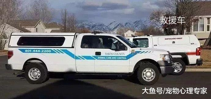 狗伤人该不该安乐？美国一狗咬下男孩手臂，12万人请愿求情