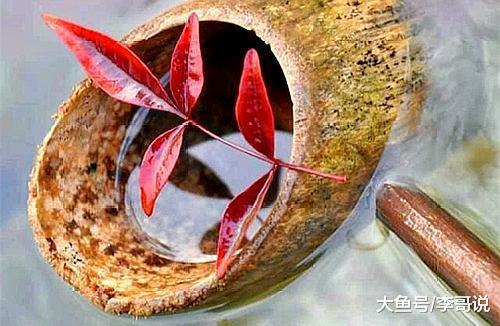 放不下的人，就别放了