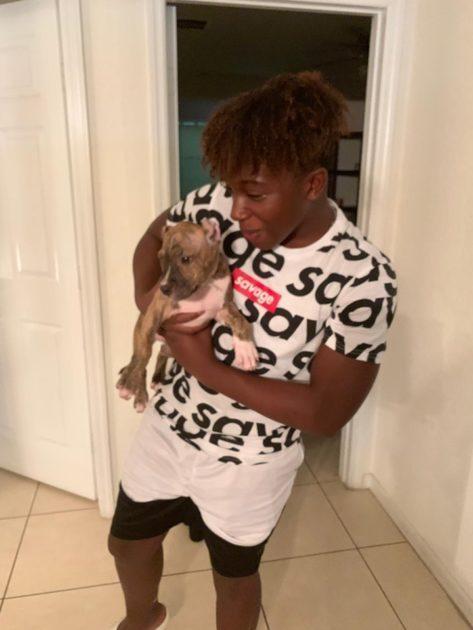 飓风“多里安”来临之际，他不仅帮助小狗度过难关，还霸气收养！