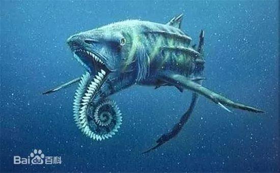 盘点历代海洋霸主, 笑到最后的, 居然这么萌