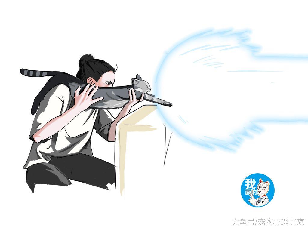 女子把猫主子扛在肩上，理由令人无语：活着不好吗？