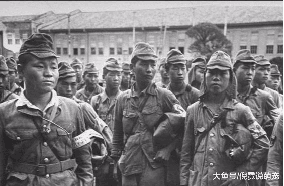 二战时，日军帽子上的“屁帘”到底有何用？他救了十万人的命