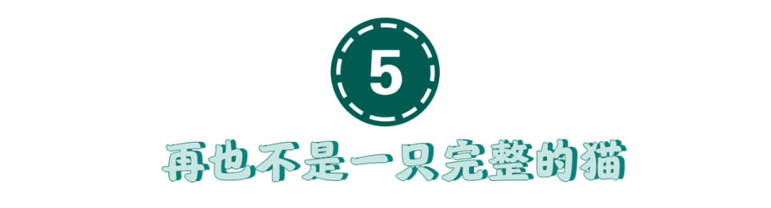 禁止除猫爪手术法案正式生效！给猫去爪究竟有多残忍？剁手试试