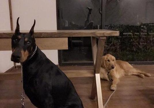 带你看乐嘉现实的家，没想到生活中还是个肌肉男，房子装修很普通