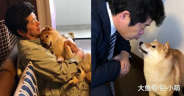 柴犬在转身追尾巴，主人拍照发到网上，却被网友们恶搞成为肌肉男